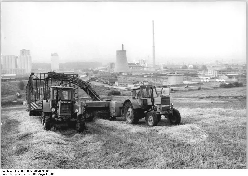 Два «Беларуса» на уборке соломы в кооперативе Неверин, ГДР, 30 августа 1983 года